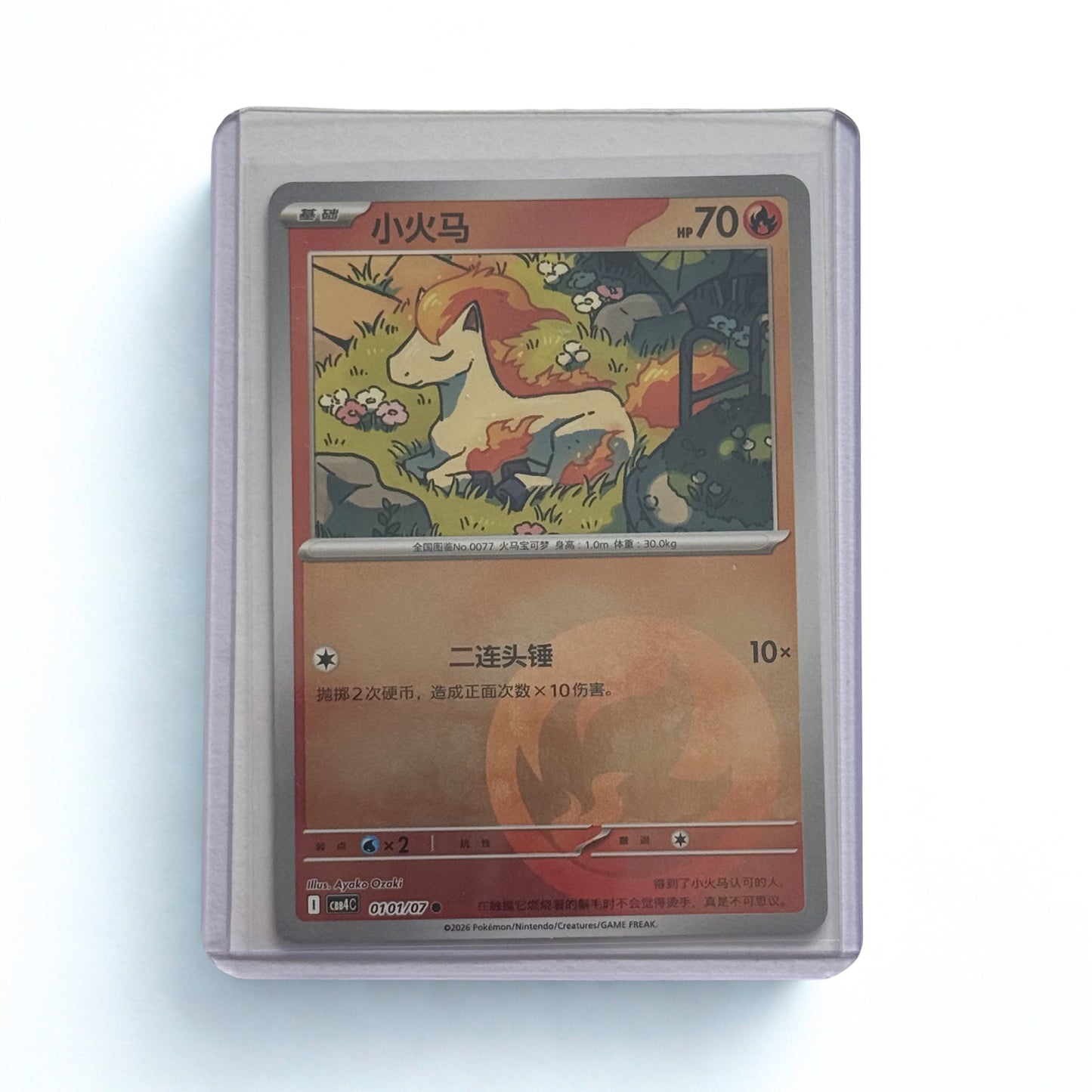 0101/07 Ponyta