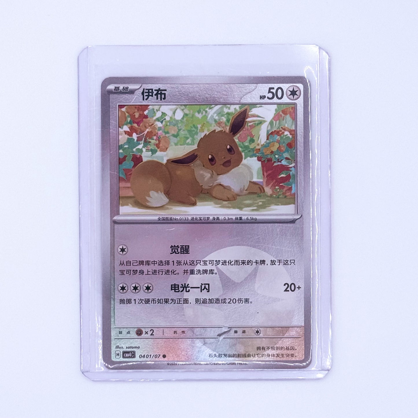 0401/07 - Eevee