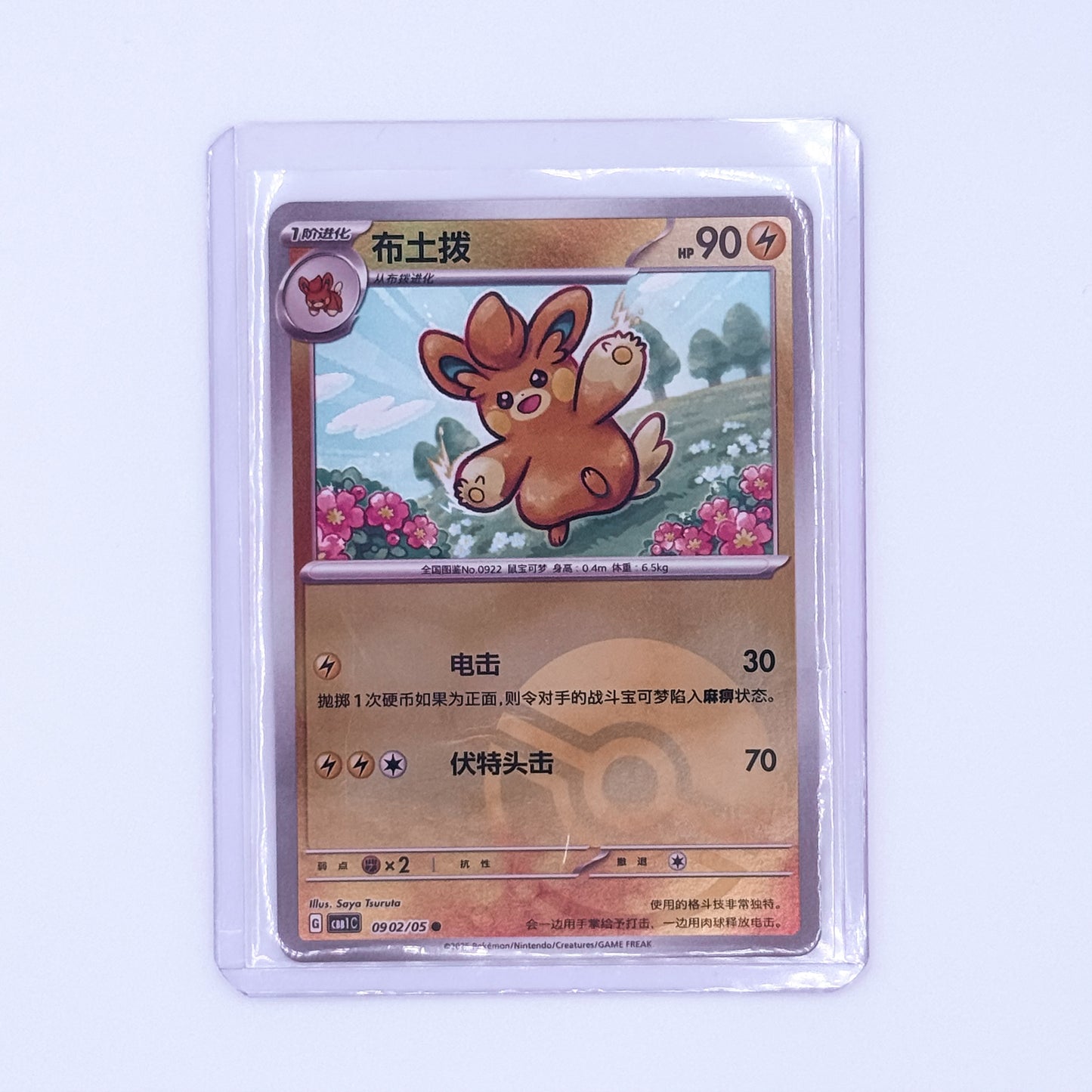 0902/05 - Pawmo (Poke Ball Pattern)