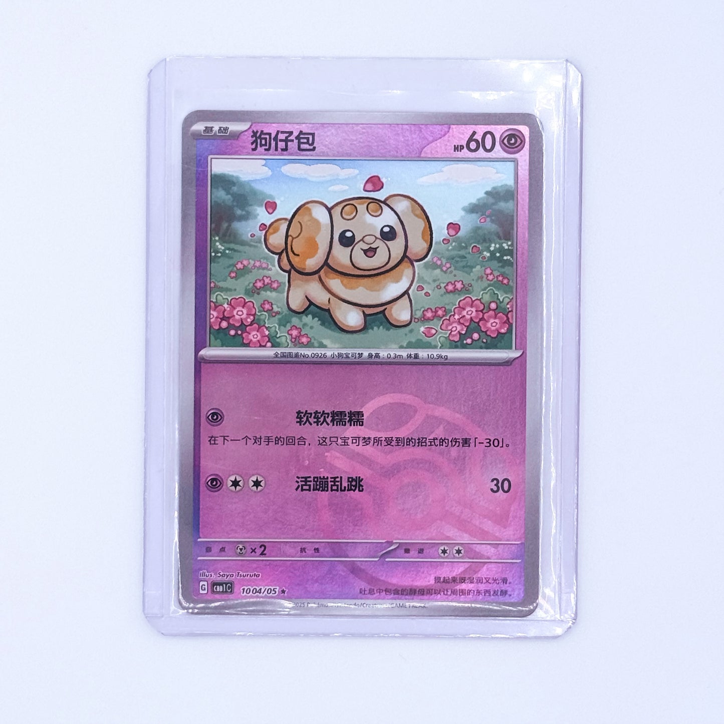 1004/05 - Fidough (Master Ball Pattern)