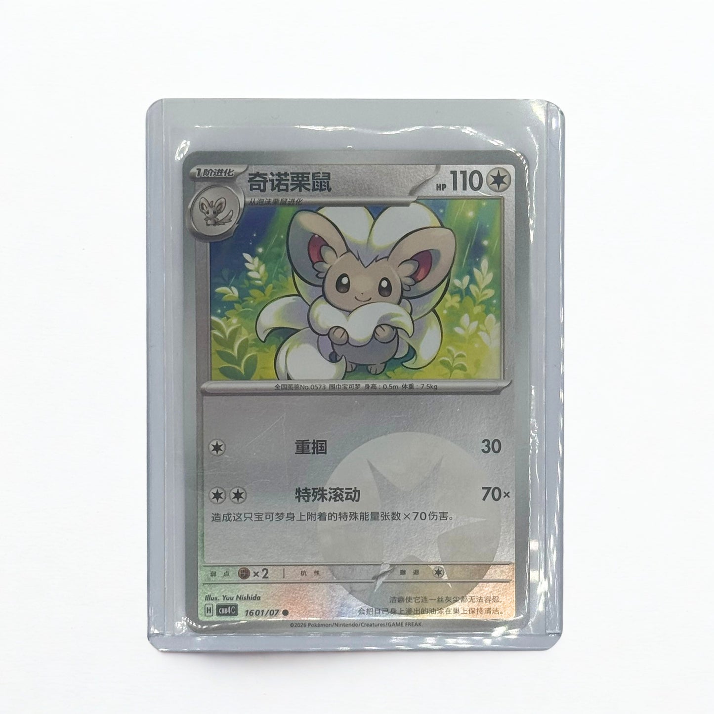 1601/07 Cinccino