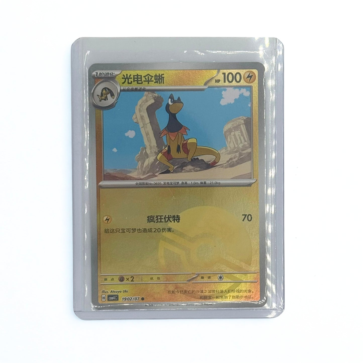 1902/07 Holioisk (Poke Ball Pattern)