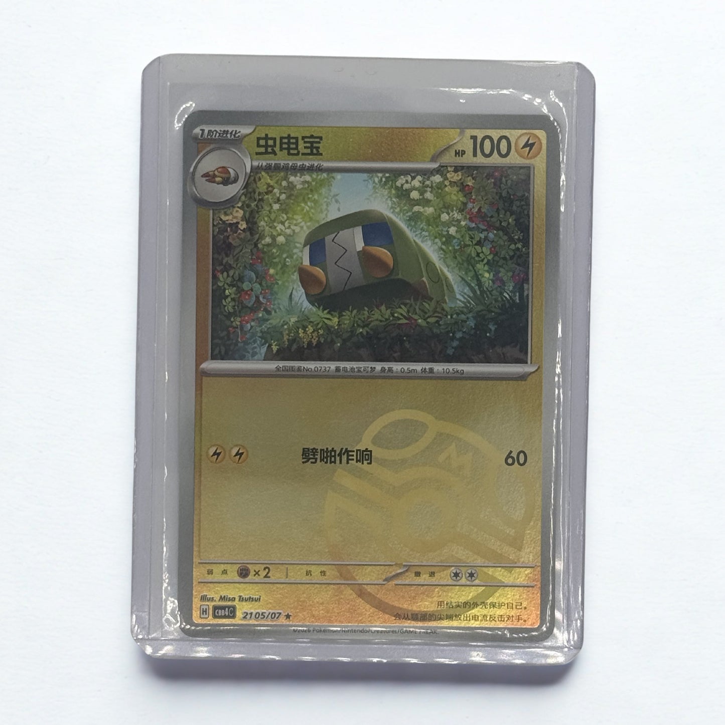2105/07 Charjabug (Master Ball Patter)